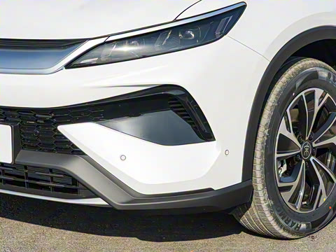 2025�� �ڶ��� �Ǽݰ� DM-i 115KM��Խ��