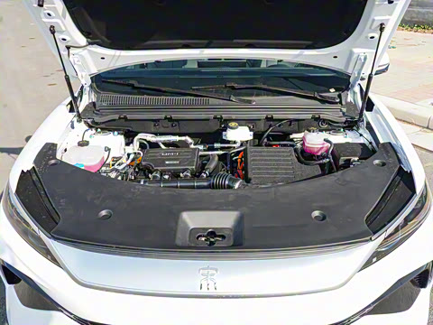 2025�� �ڶ��� �Ǽݰ� DM-i 115KM��Խ��