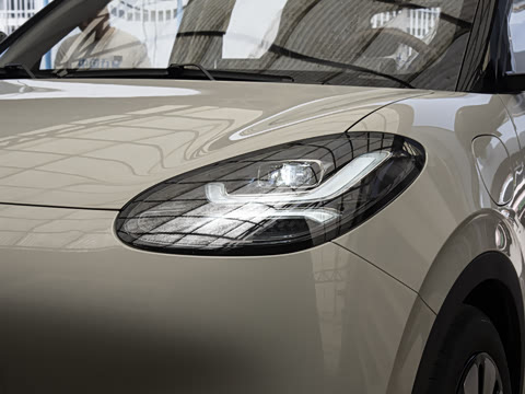 2025�� 333km ������