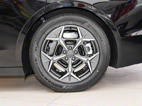 2024�� STARBUFF 95kWh 766km����