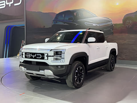 ���ǵ� BYD SHARK