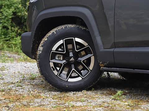 2024�� ����������