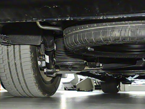 2025�� �������������