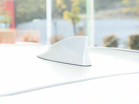 2024�� 300h ̽���