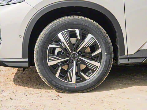 2025�� DM-i �Ǽݰ� 115KM������