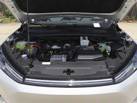 2025�� 205��������������