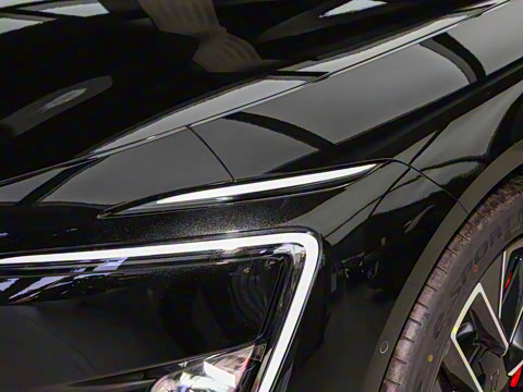 2025�� Max�����