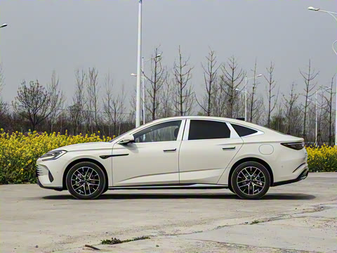 2025�� �Ǽݰ� DM-i 1.5T 125km �콢��