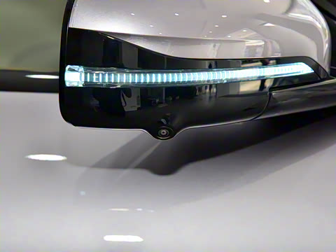 2025�� FREE+ ����Ǭ����