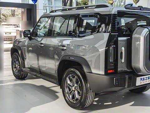 2025�� 2.0TD DCT XWD����