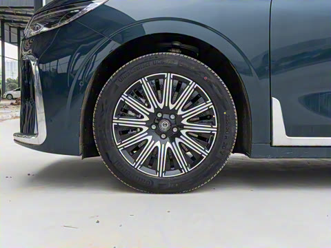 2025�� EV ����׿Խ������