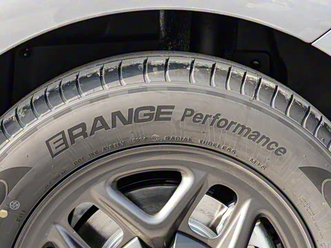 2025�� DM-i �Ǽݰ� 55KM������