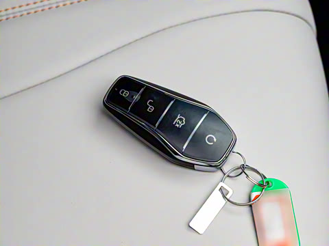 2024�� ��ҫ�� DM-i 71KM������