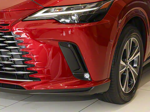 2025�� 300 ����������