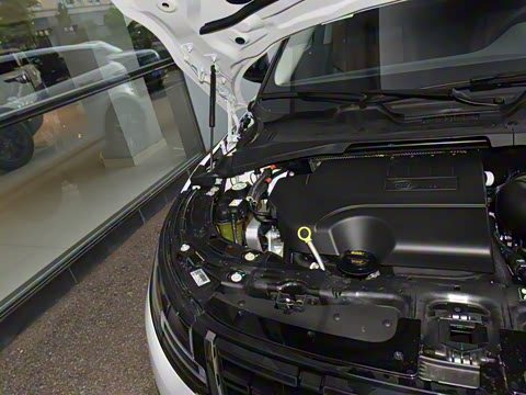 2024�� ��ʤ����L SE Ԧ����ҫ��