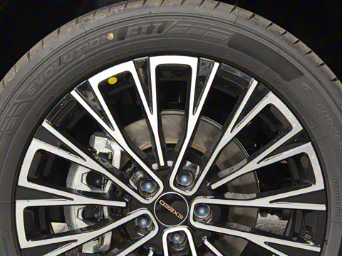 2025�� 300T ������Խ��