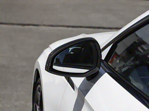 2024�� RS 5 2.9T Sportback ȼ���