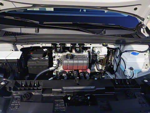 2025�� 650������