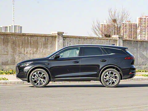 2025�� �Ǽݰ� DM-i 115KM �콢��