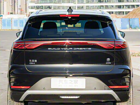 2025�� �Ǽݰ� DM-i 115KM �콢��