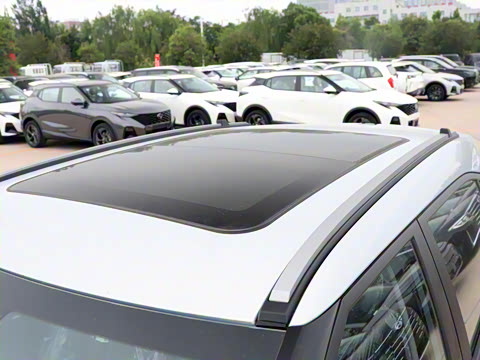 2025�� Ӱ�� 270T ������ ƽ������