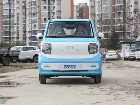 2025�� 222km ������