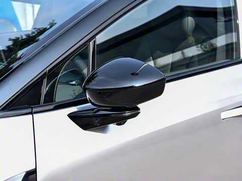 2025�� �������� Max �콢��