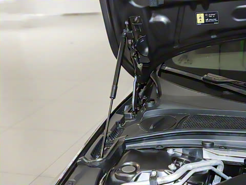 2025�� ���ʽ�춯 �������������ݺ�����