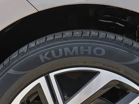 2025�� �Ŀ�� 300TSI DSG��Խ��