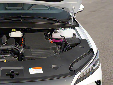 2025�� DM-i �Ǽݰ� 55KM������