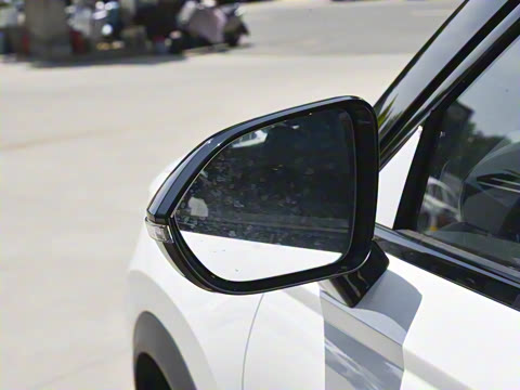 2024�� ������