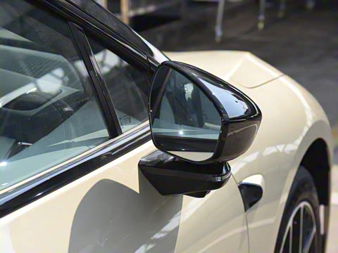 2025�� �������� Max �콢��