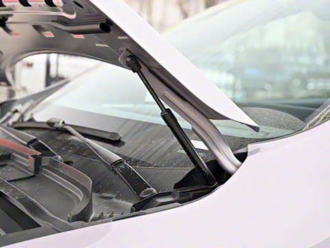 2025�� 625 ������ Max �콢��