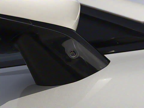 2025�� ���� 565����Max�캽��