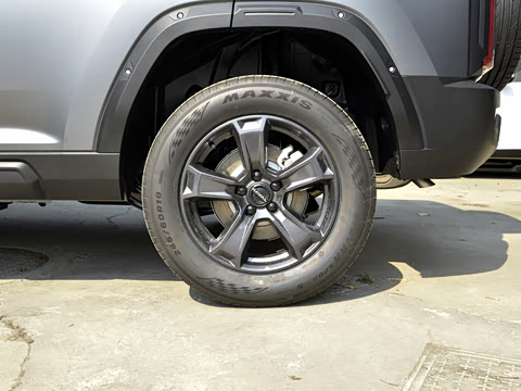 2025�� 2.0T 4WD Pro