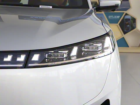 2025�� 636Max���Ȱ� 5��