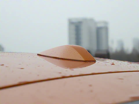 2025�� �����߰�