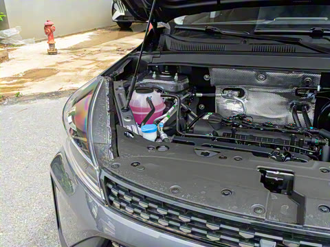 2025�� 1.5L �ֶ����ʰ�