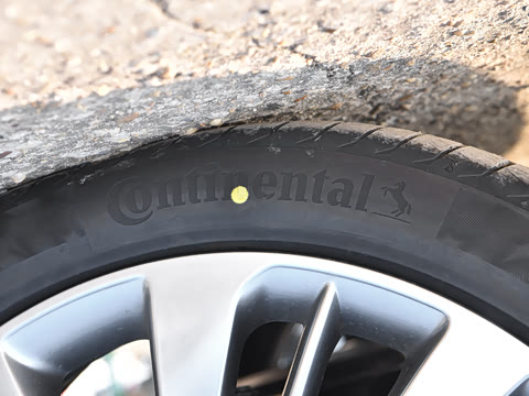 2025�� ������Plus ����Avenir��ά��