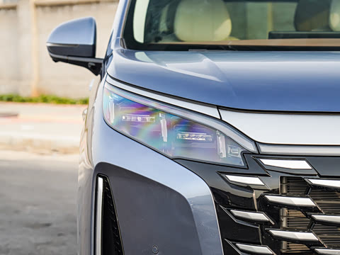 2025�� DM-i 1.5T 100km ��Խ��