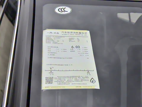 2025�� �Ŀ� 300TSI DSG�����ǹ��