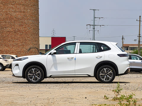 2025�� 55km ������