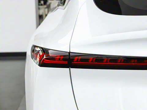 2025�� ��������� 515�����