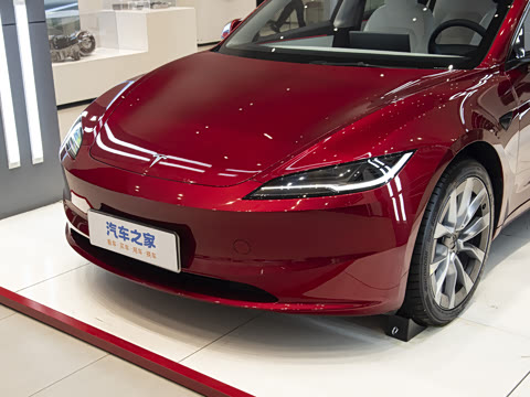 2025�� ����������