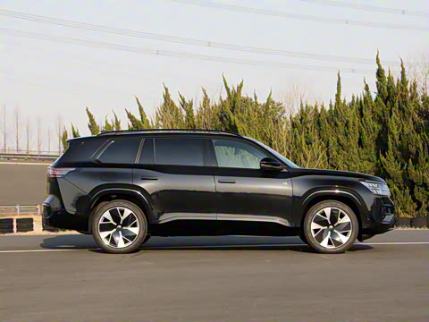 2025�� ;�� Pro 450TSI �����Ƿ��