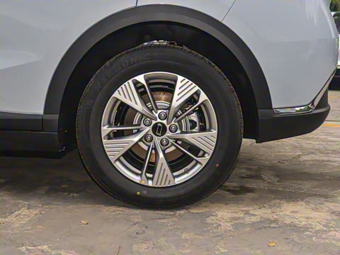 2025�� 565km ������