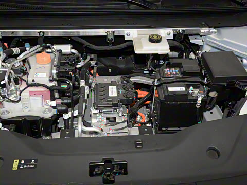 2025�� 650�����״��