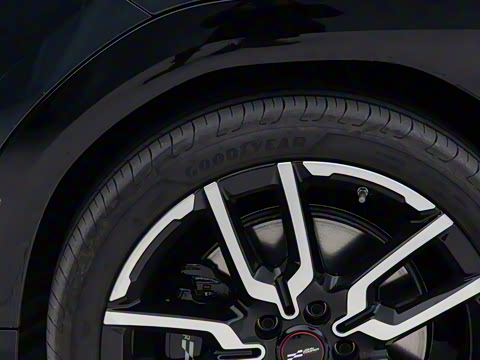 2024�� SE ������