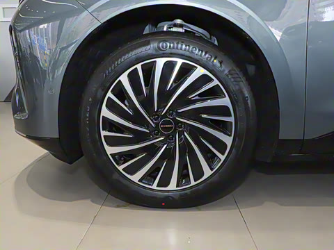 2025�� ���� 265 Pro�������ٸ�����ʻ