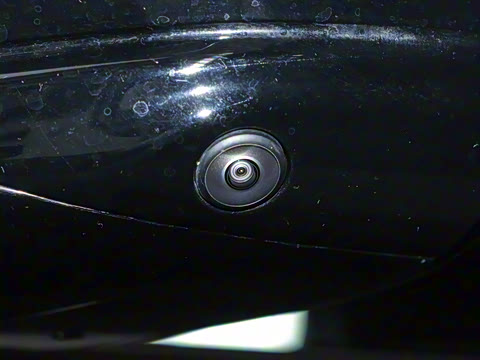 2024�� ������������